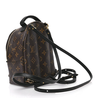 Louis Vuitton Monogram Palm Springs Backpack Mini 3 of 11