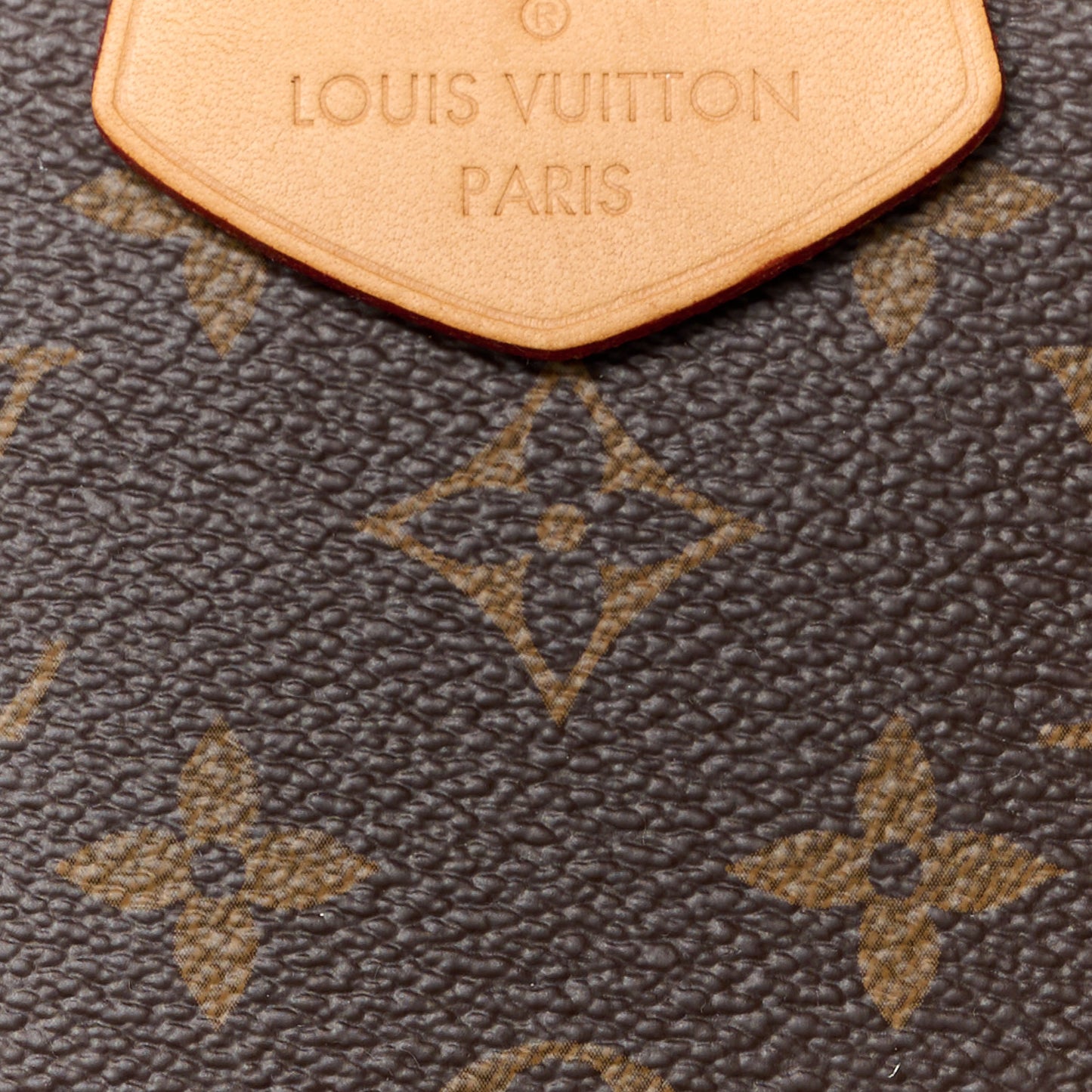 Monogram Turenne MM