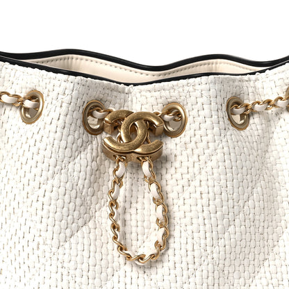 Chanel Braided Raffia Calfskin Mini Chanel 25 Handbag White Black 8 of 13