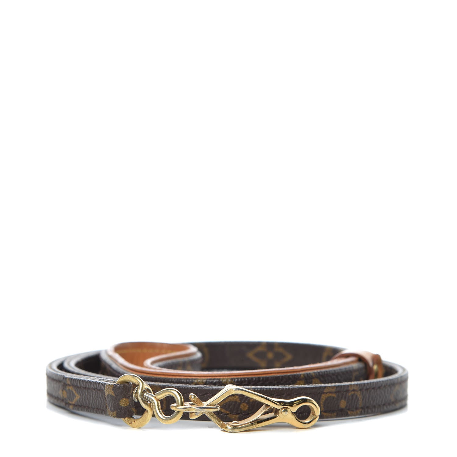 Louis Vuitton Monogram Baxter Dog Leash MM 1 of 7