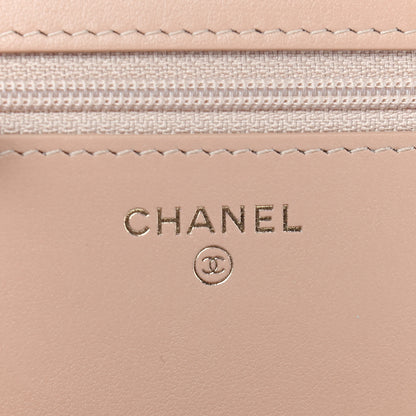 Chanel Calfskin Quilted Perfect Fit Wallet On Chain WOC Beige 6 of 10