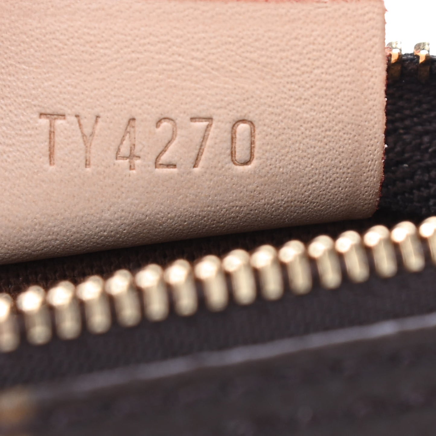 Monogram Nano Speedy