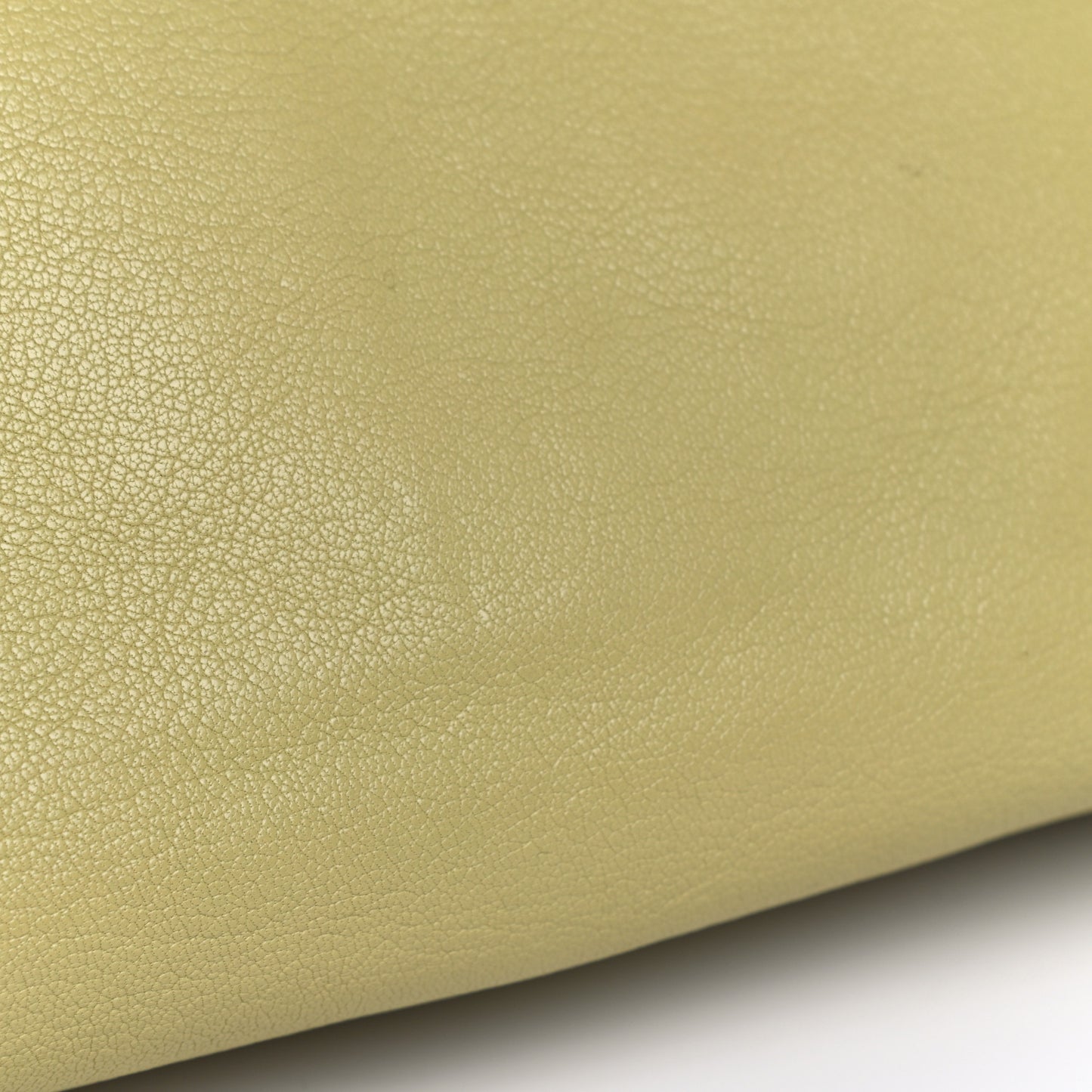 Glossy Goatskin Small Lily Flap Pistachio
