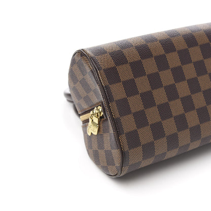 Louis Vuitton Damier Ebene Ribera Mini 6 of 8