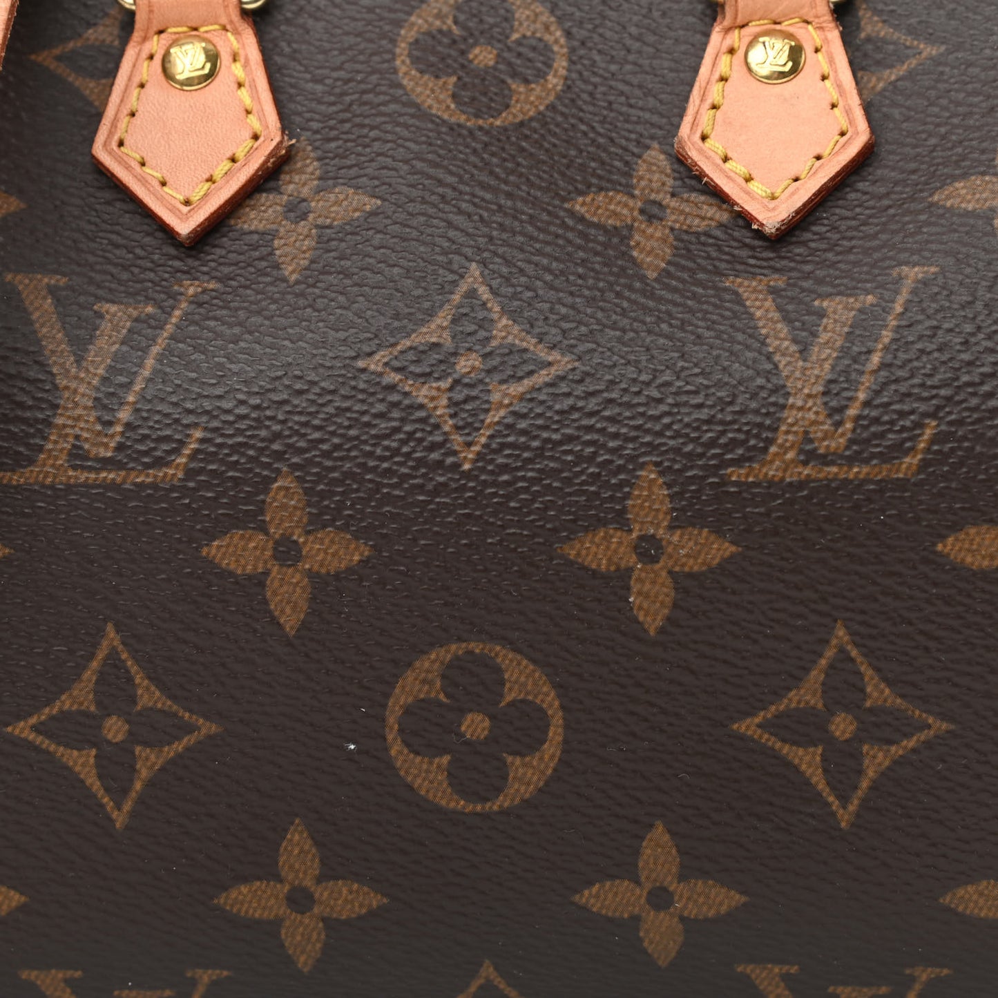 Monogram Nano Speedy