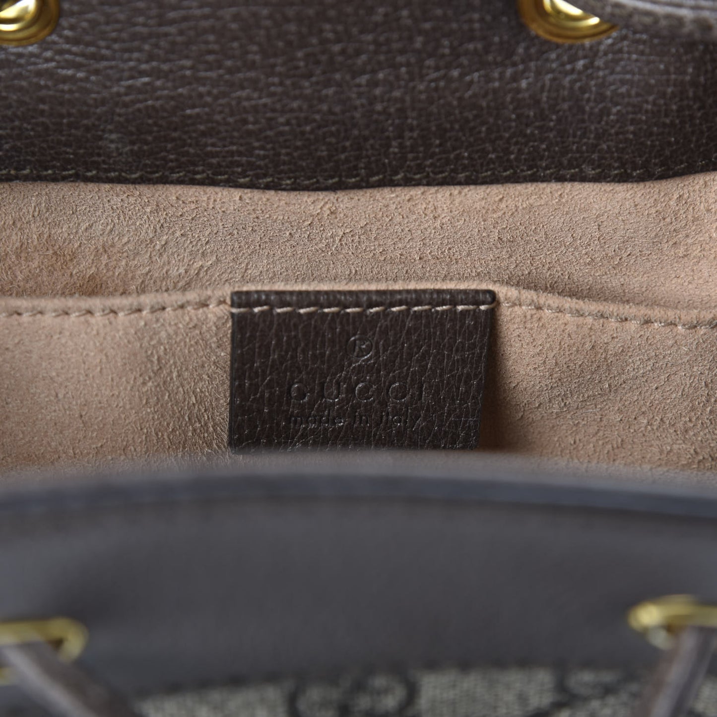 GG Supreme Monogram Web Small Ophidia Bucket Bag Brown