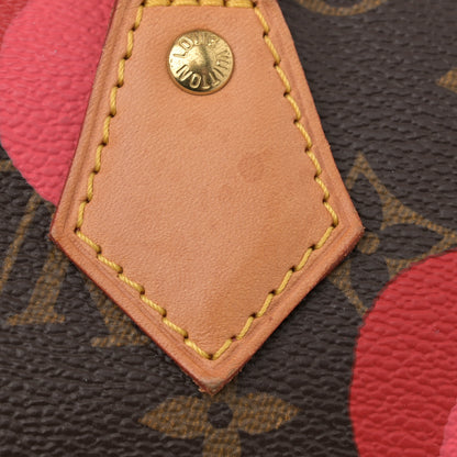 Louis Vuitton Monogram Ramages Speedy 30 Grenade 11 of 11