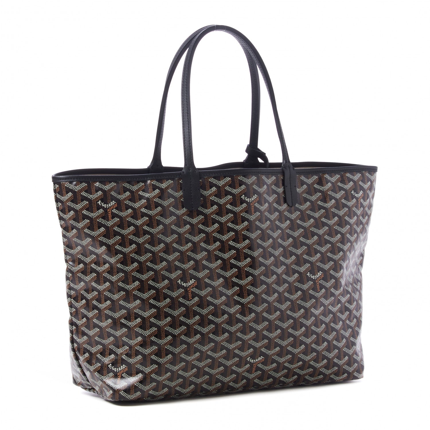 Goyard Goyardine Saint Louis PM Black 4 of 9