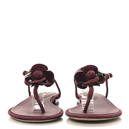 Chanel Suede Calfskin Camellia Thong Sandals 39.5 Burgundy 3 of 8