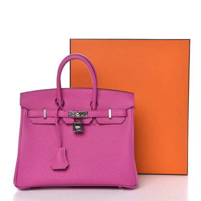 Hermes Togo Birkin 25 Magnolia 37 of 37