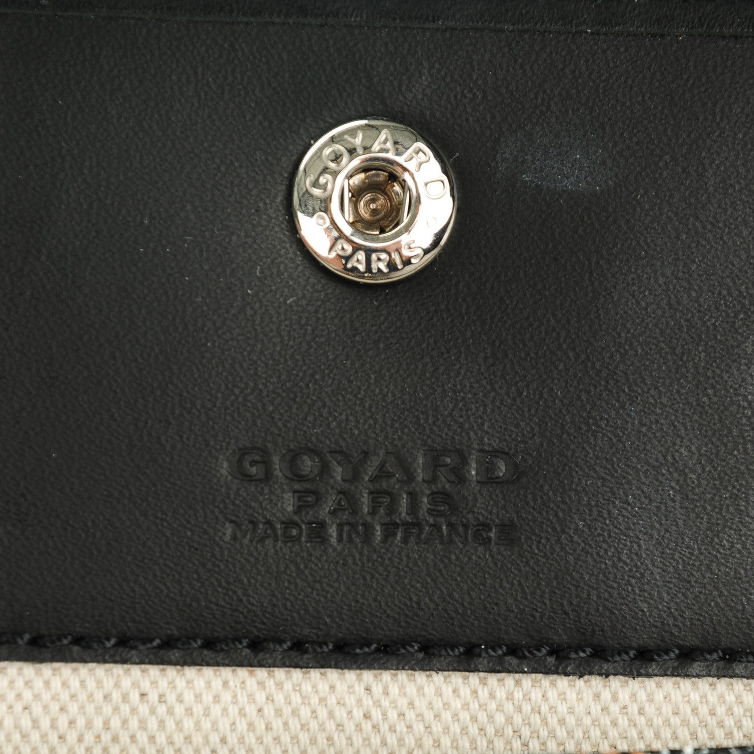 Goyard Goyardine Saint Louis PM Black 10 of 10