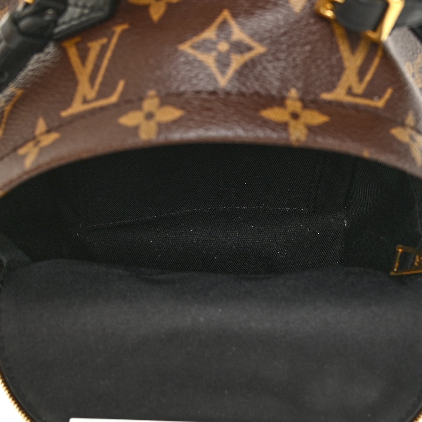 Monogram Palm Springs Backpack Mini