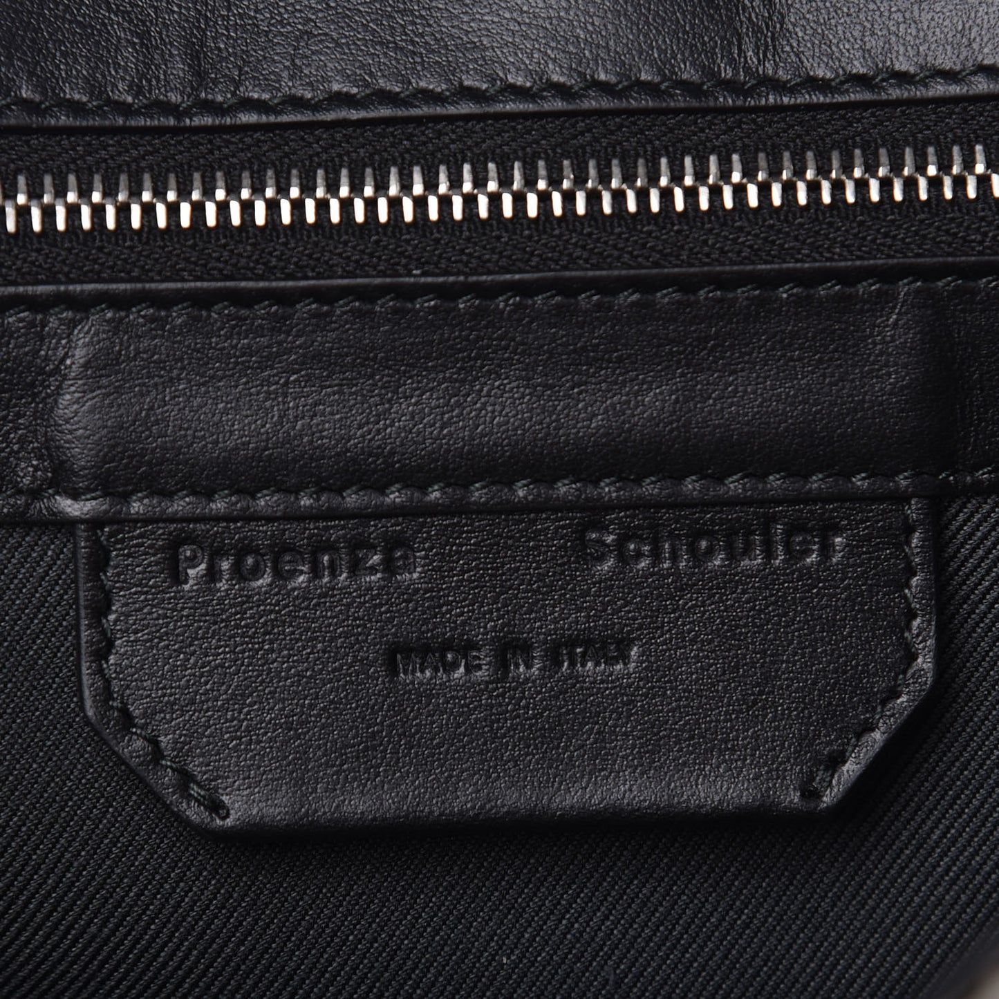 Crackled Lambskin PS1 Plus Zip Backpack Clay