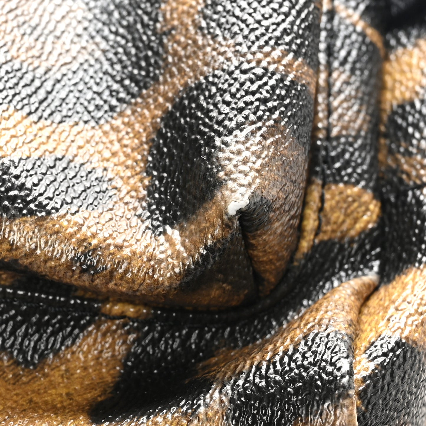 Wild Animal Print Palm Springs Backpack PM