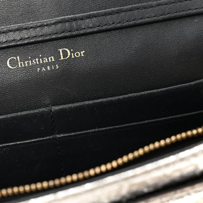 Christian Dior Metallic Ceramic Effect Deerskin Diorama Wallet on Chain Pouch Silver 10 of 12