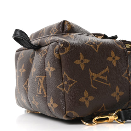 Louis Vuitton Monogram Palm Springs Backpack Mini 16 of 19