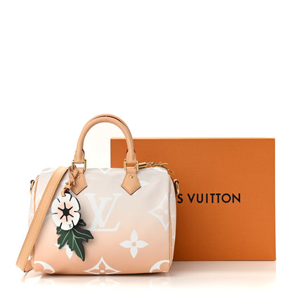 Louis Vuitton Monogram Giant By The Pool Speedy Bandouliere 25 Brume 11 of 11