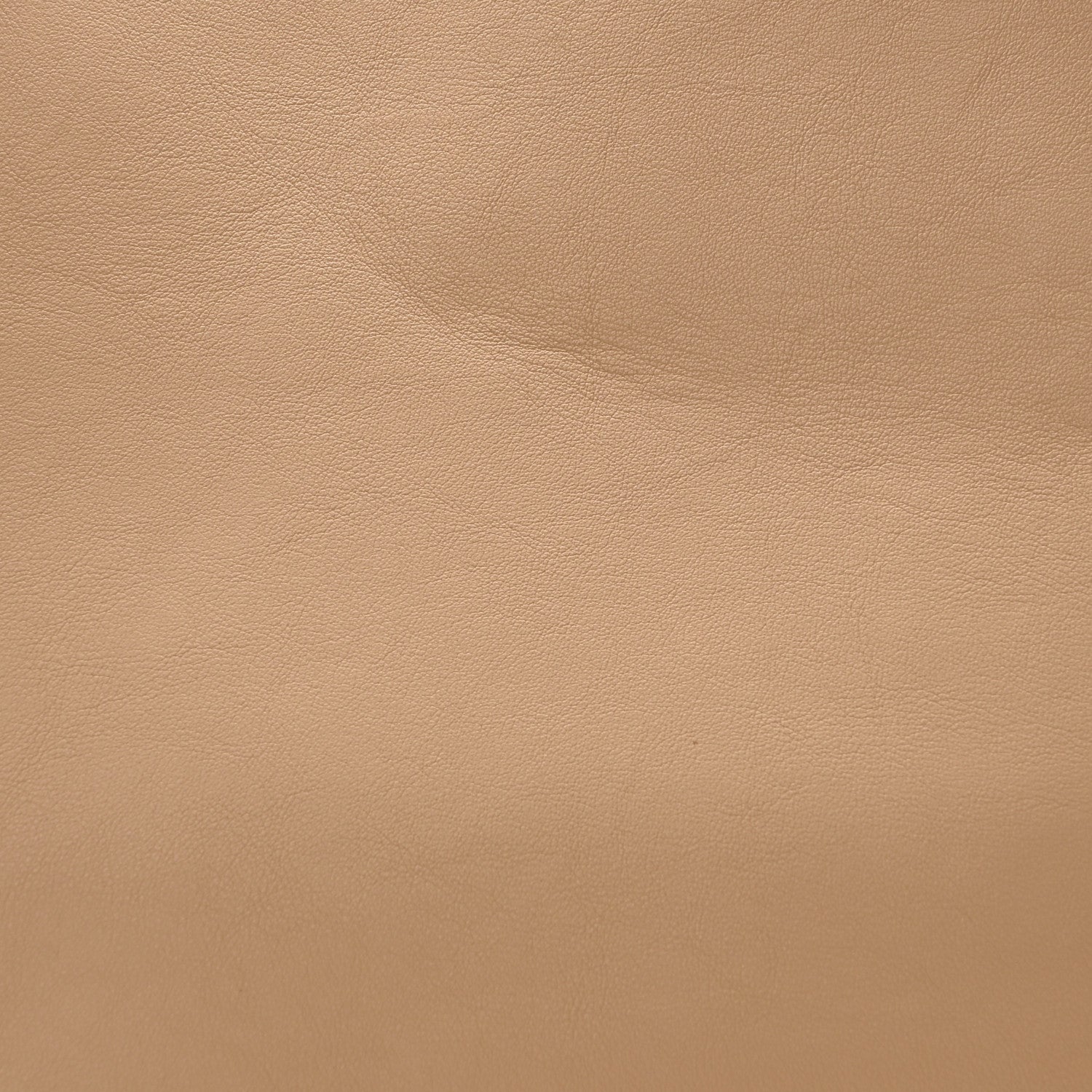 Mansur Gavriel Supple Calfskin Everyday Soft Tote Sandstone Cornflower 9 of 11