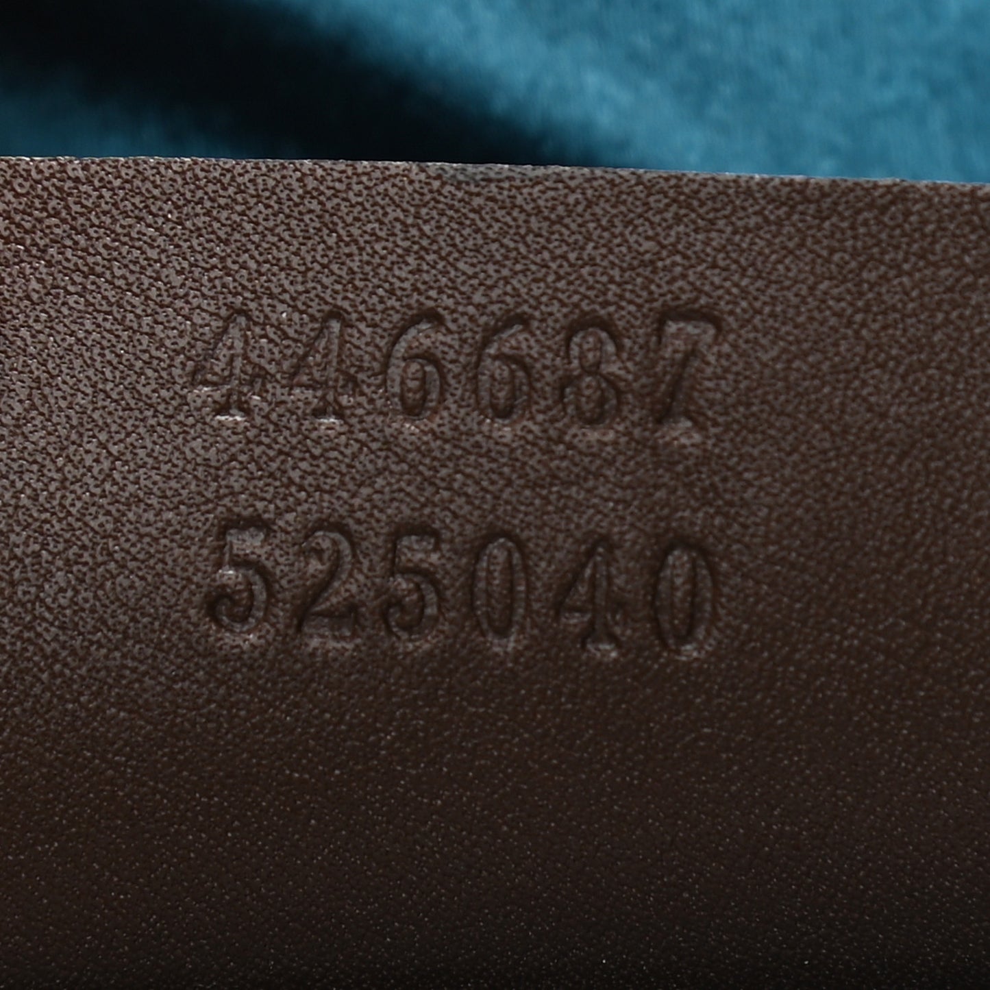 Velvet GG Monogram Web Medium Dionysus Hobo Brown