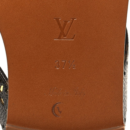 Louis Vuitton Monogram Sunny Flat Thong Sandals 37.5 Brown 7 of 8