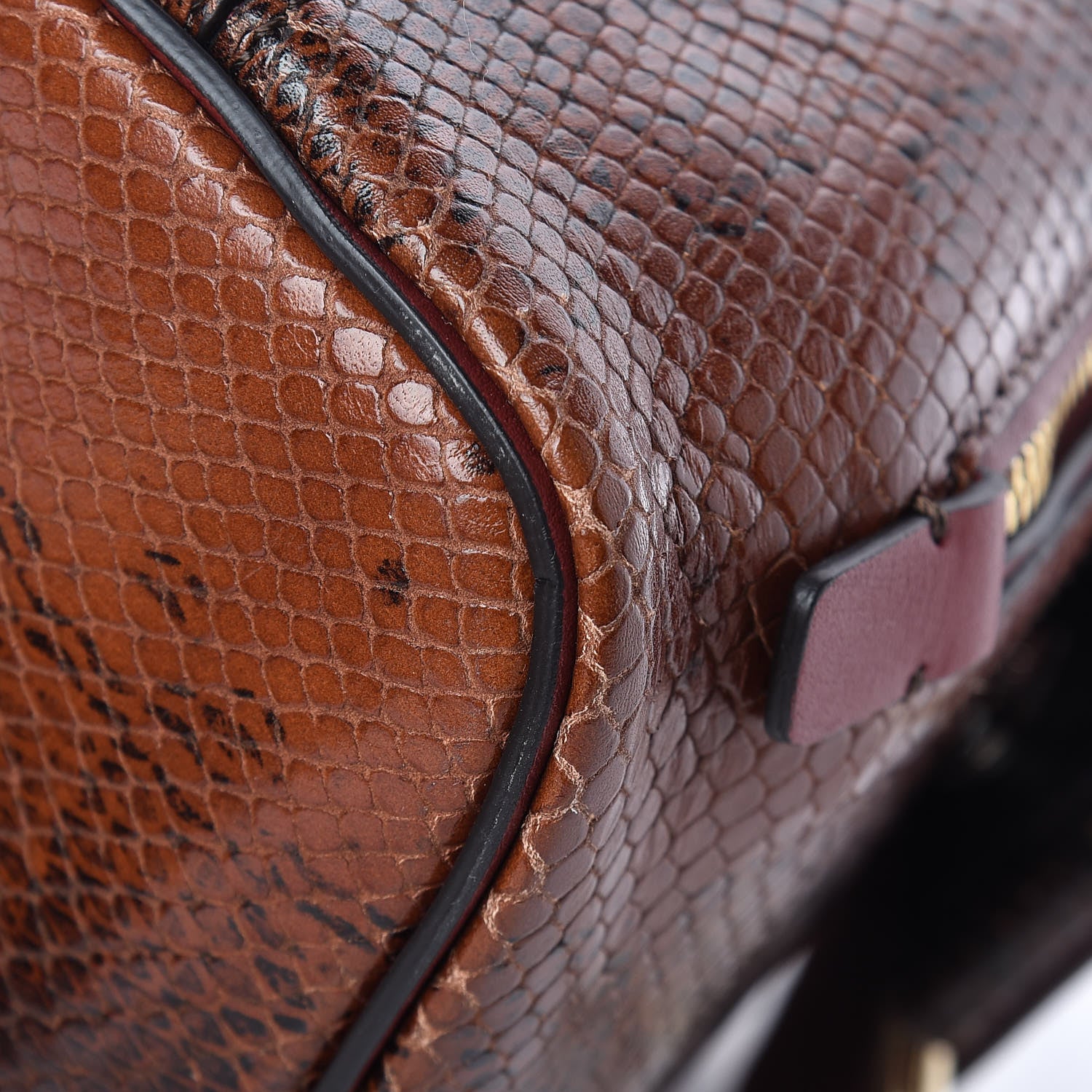 Chloe Calfskin Watersnake Embossed Mini Faye Backpack Sepia Brown 14 of 14