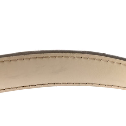 Louis Vuitton Epi Sevigne GM Ivory 14 of 16