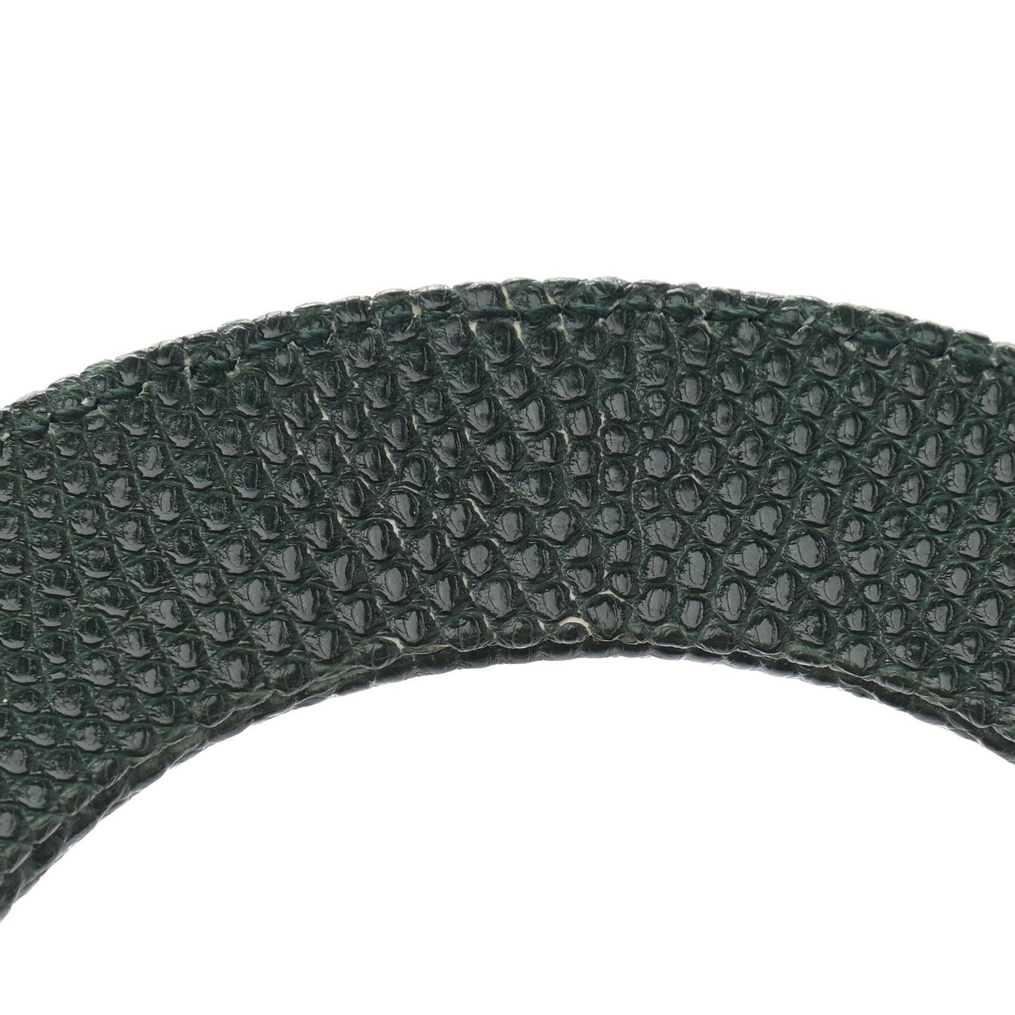 Lizard Mini Lady Dior Green