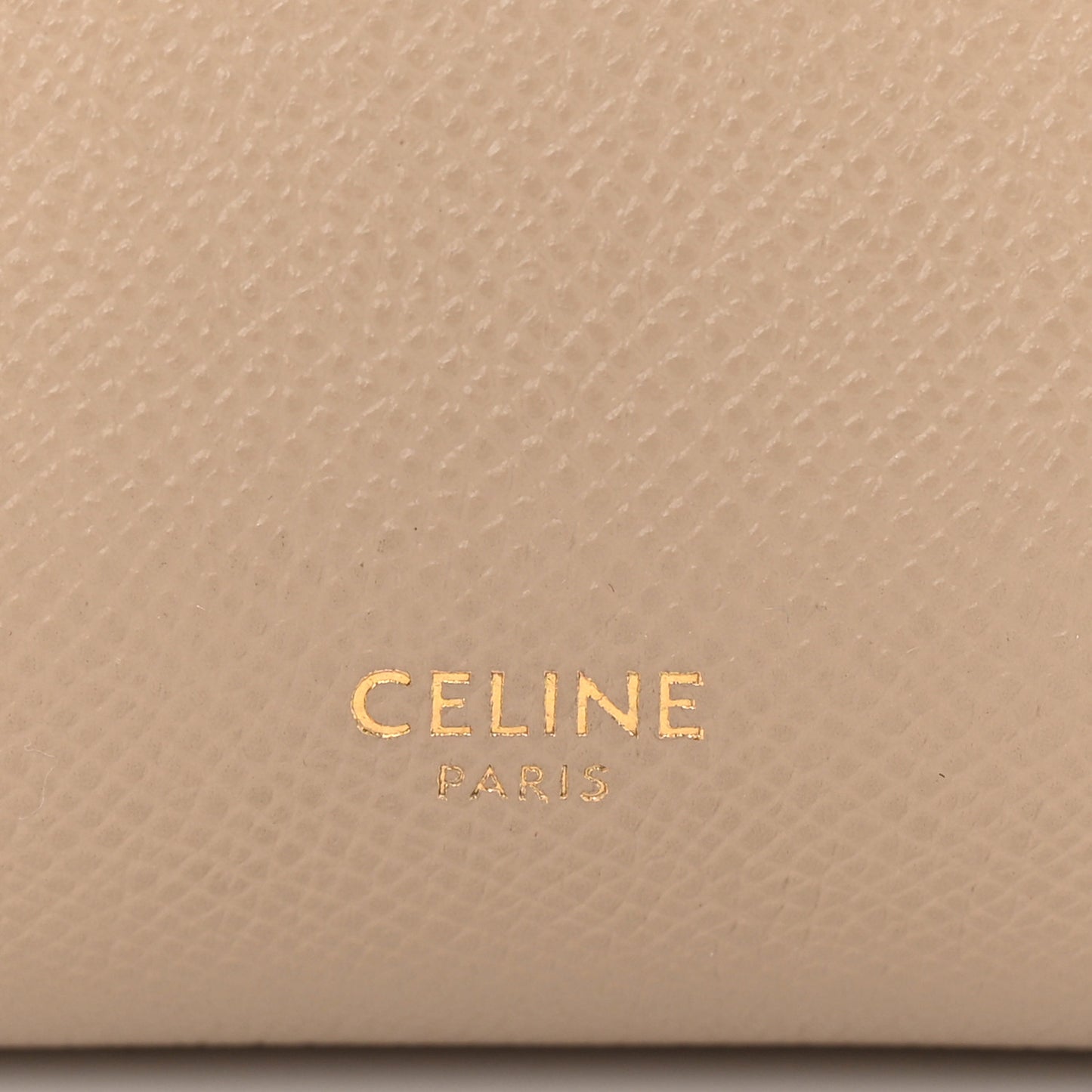 Grained Calfskin Nano Belt Bag Light Taupe