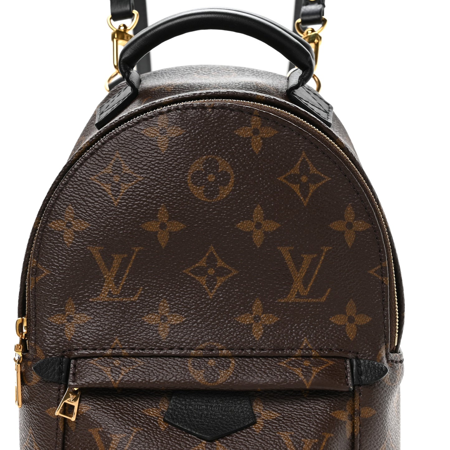 Monogram Palm Springs Backpack Mini
