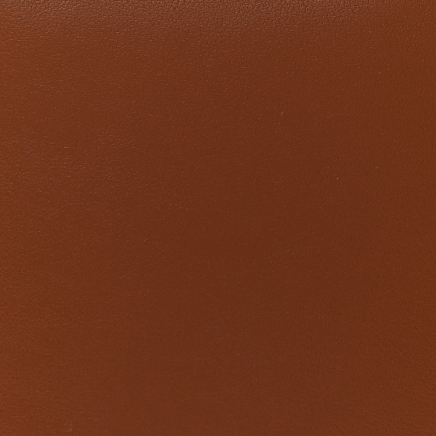 Smooth Calfskin Triomphe Small Louise Bag Tan