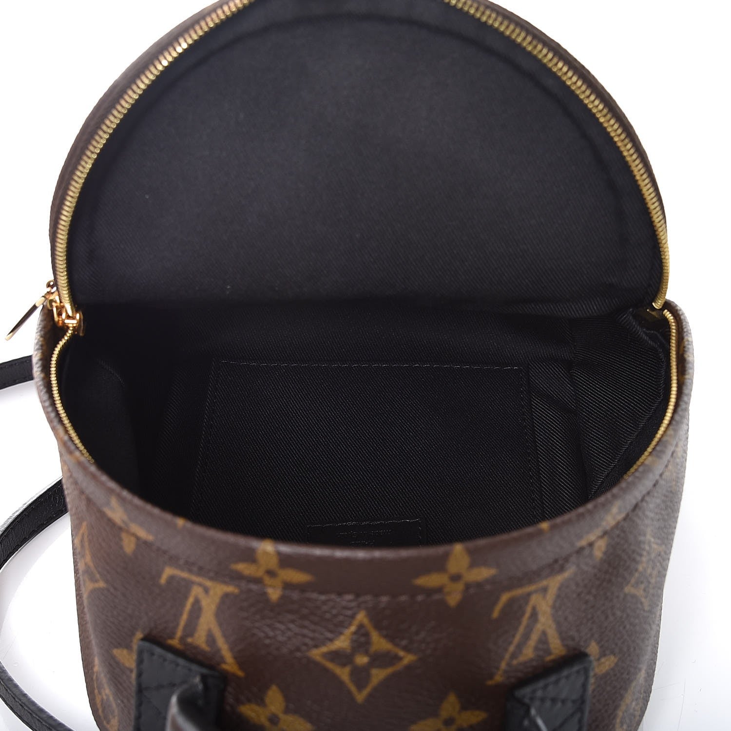 Louis Vuitton Monogram Palm Springs Backpack Mini 5 of 9