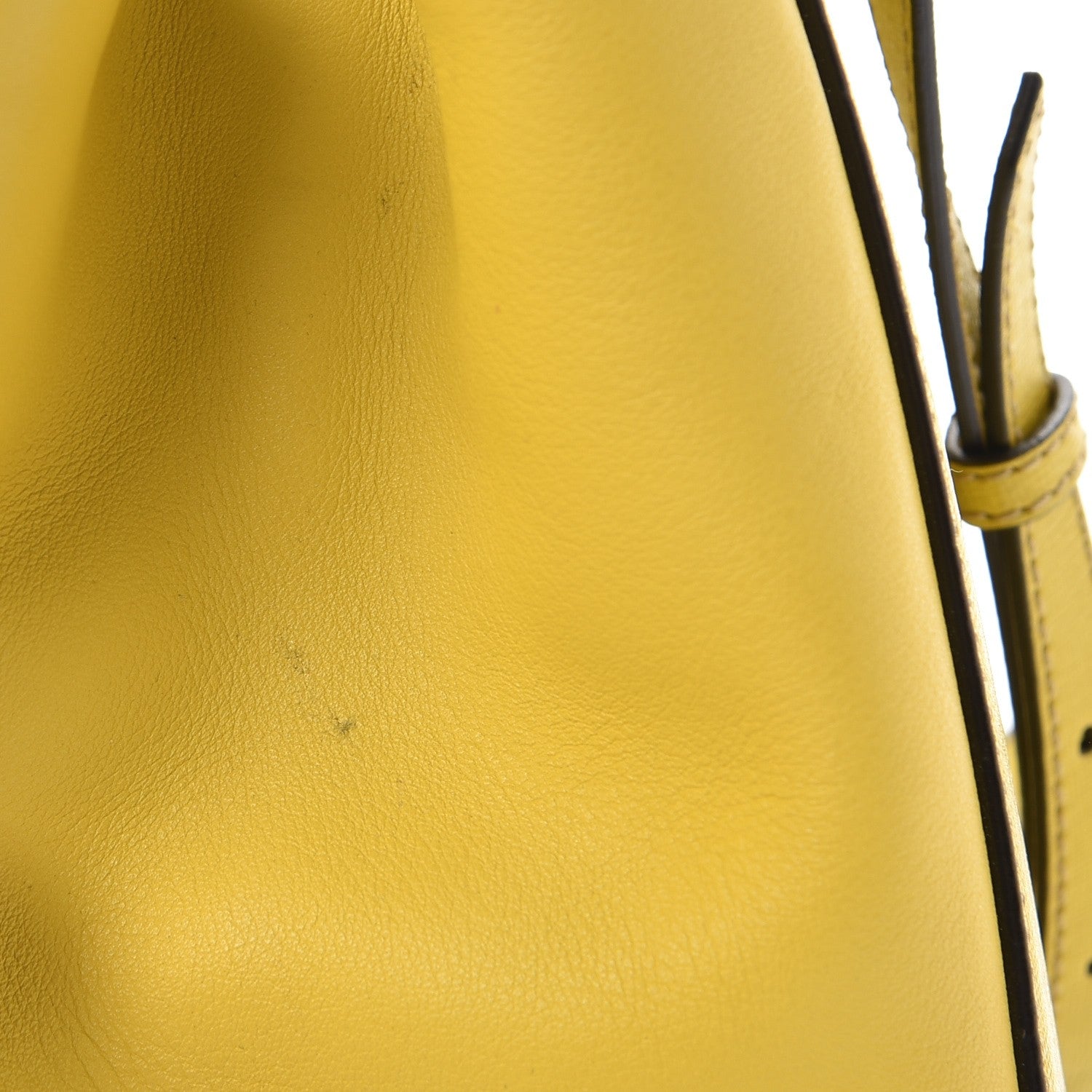 Fendi Vitello Elite Petite 2Jours Tote Cedro 13 of 13