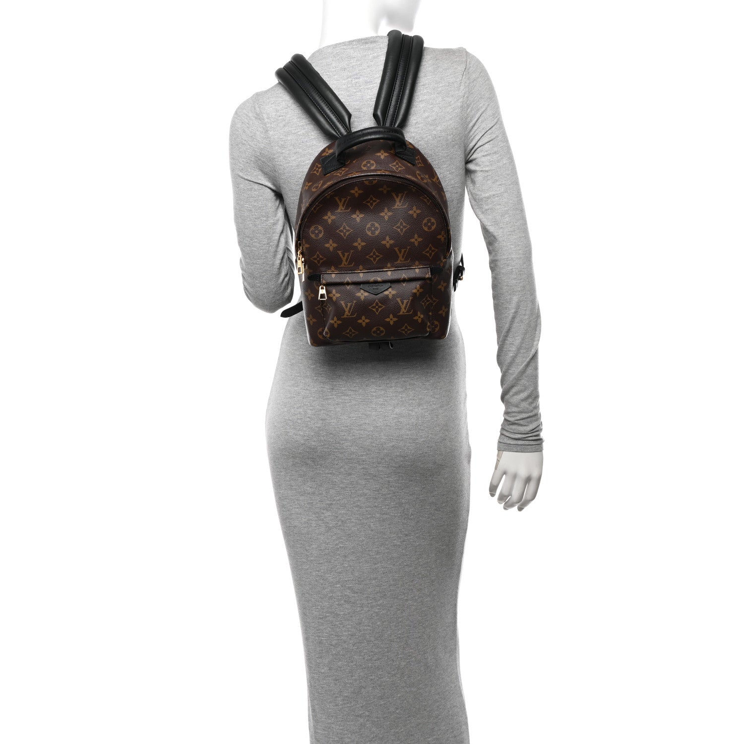 Louis Vuitton Monogram Palm Springs Backpack PM 2 of 9