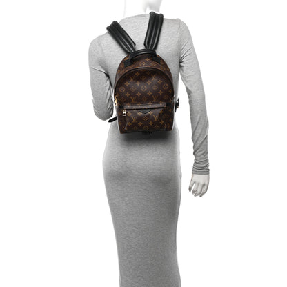 Louis Vuitton Monogram Palm Springs Backpack PM 2 of 9