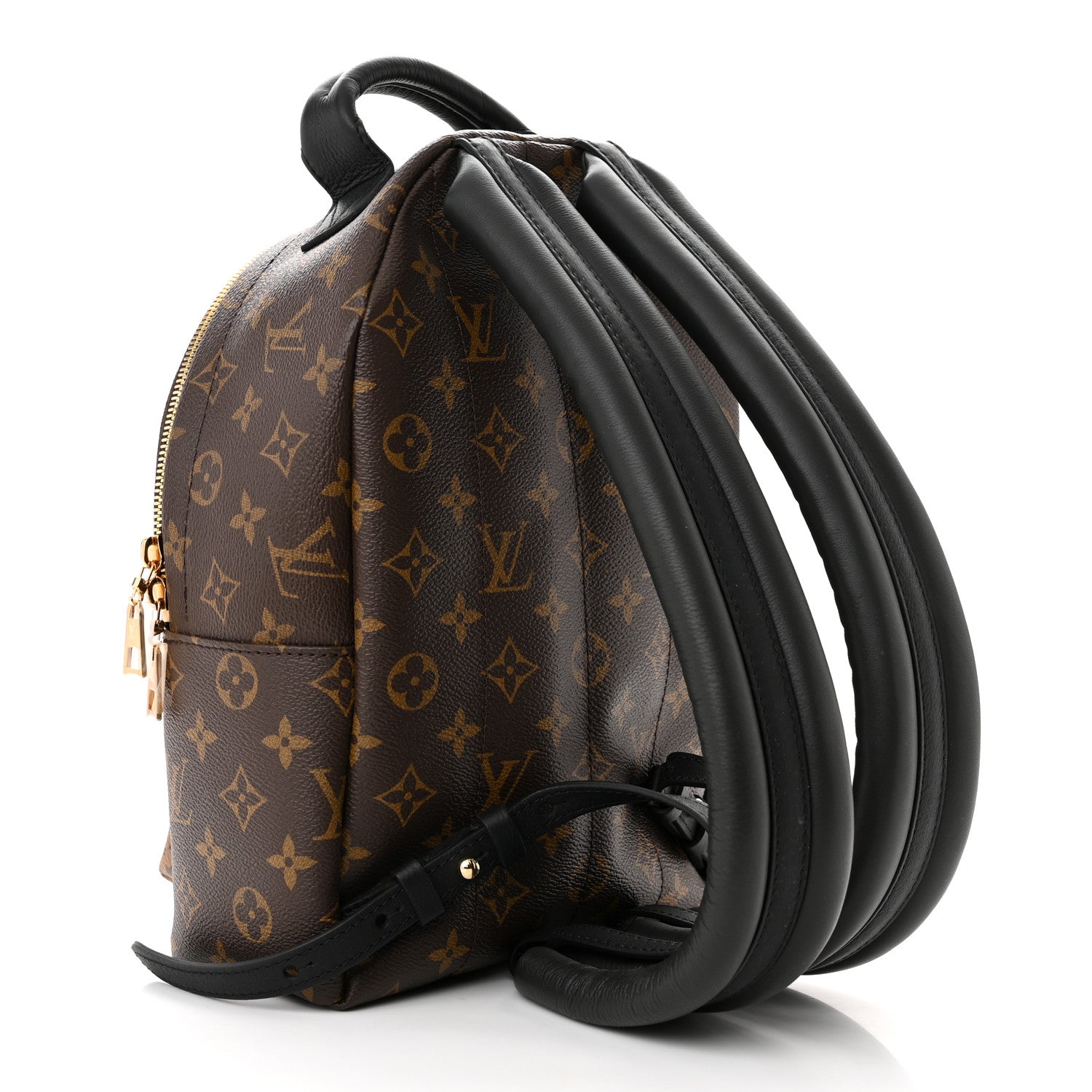 Louis Vuitton Reverse Monogram Palm Springs Backpack PM 3 of 10