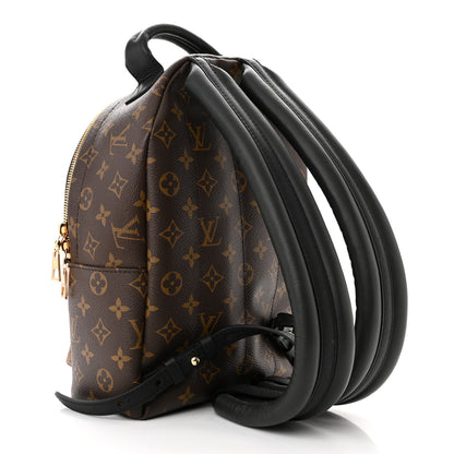 Louis Vuitton Reverse Monogram Palm Springs Backpack PM 3 of 10