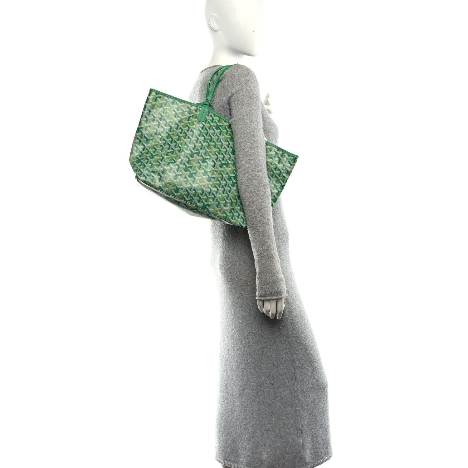 Goyard Goyardine Saint Louis PM Meadow Green 2 of 11