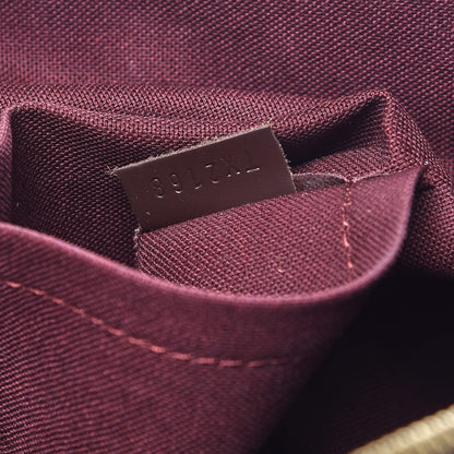 Louis Vuitton Damier Ebene Iena MM 8 of 8