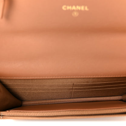 Chanel Lambskin Quilted Chanel 19 Wallet On Chain WOC Brown 5 of 11