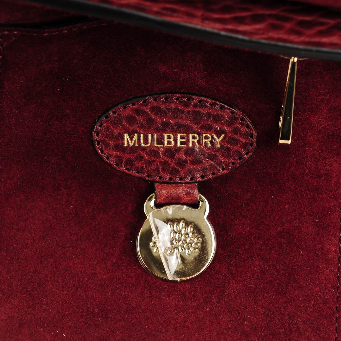 Shrunken Calfskin Small Bayswater Oxblood