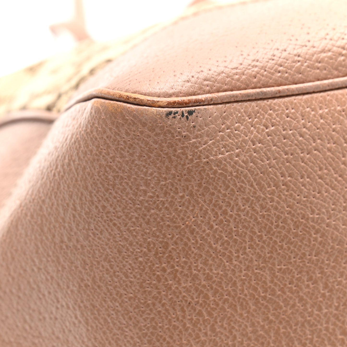 Monogram Medium Bree Zippered Tote Beige Dark Cipria