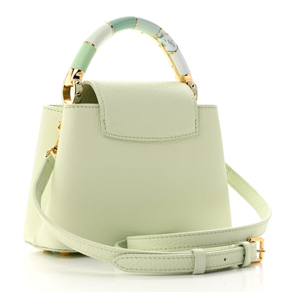 Louis Vuitton Taurillon Karung Mini Capucines Vert D'eau Green 3 of 10