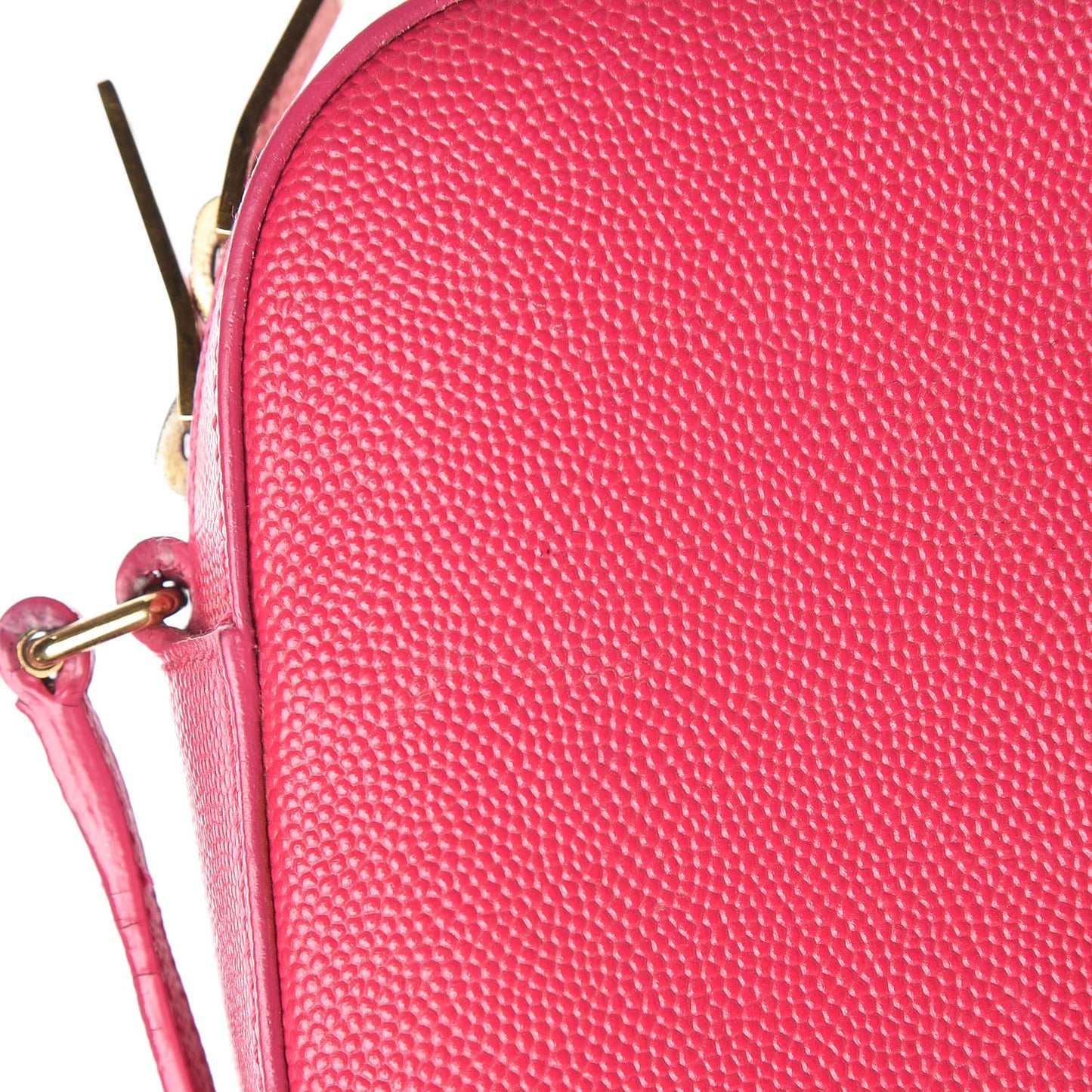 Grain De Poudre Small Classic Monogram Camera Bag Bubblegum
