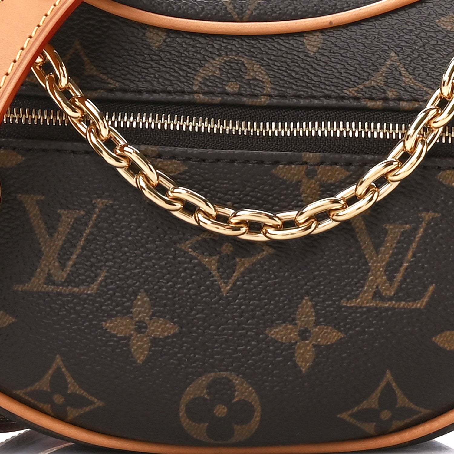 Louis Vuitton Monogram Loop 8 of 10