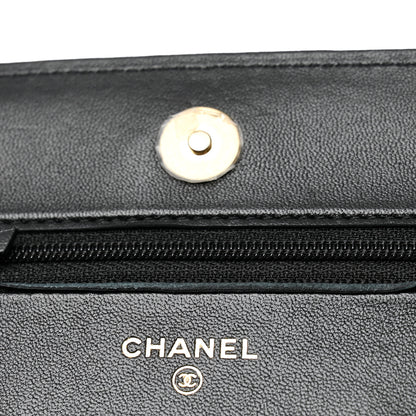 Chanel Lambskin Quilted Chanel 19 Wallet On Chain WOC Black 13 of 15