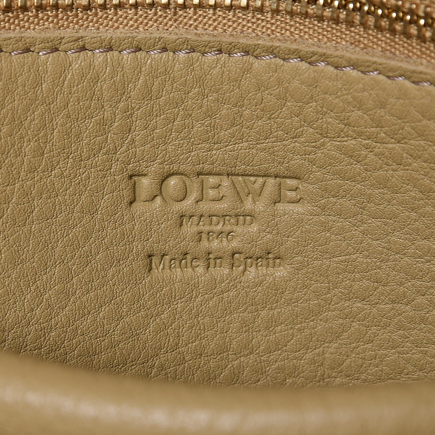 Loewe Suede Oro Amazona Gold 6 of 6