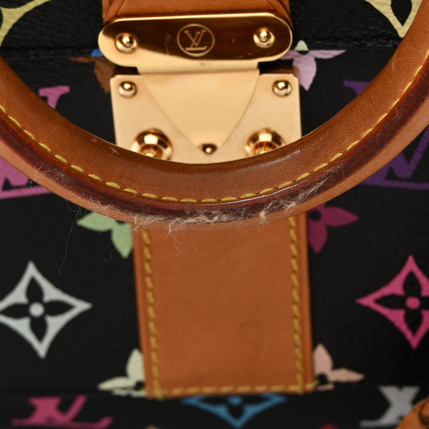 Monogram Multicolor Speedy 30 Black