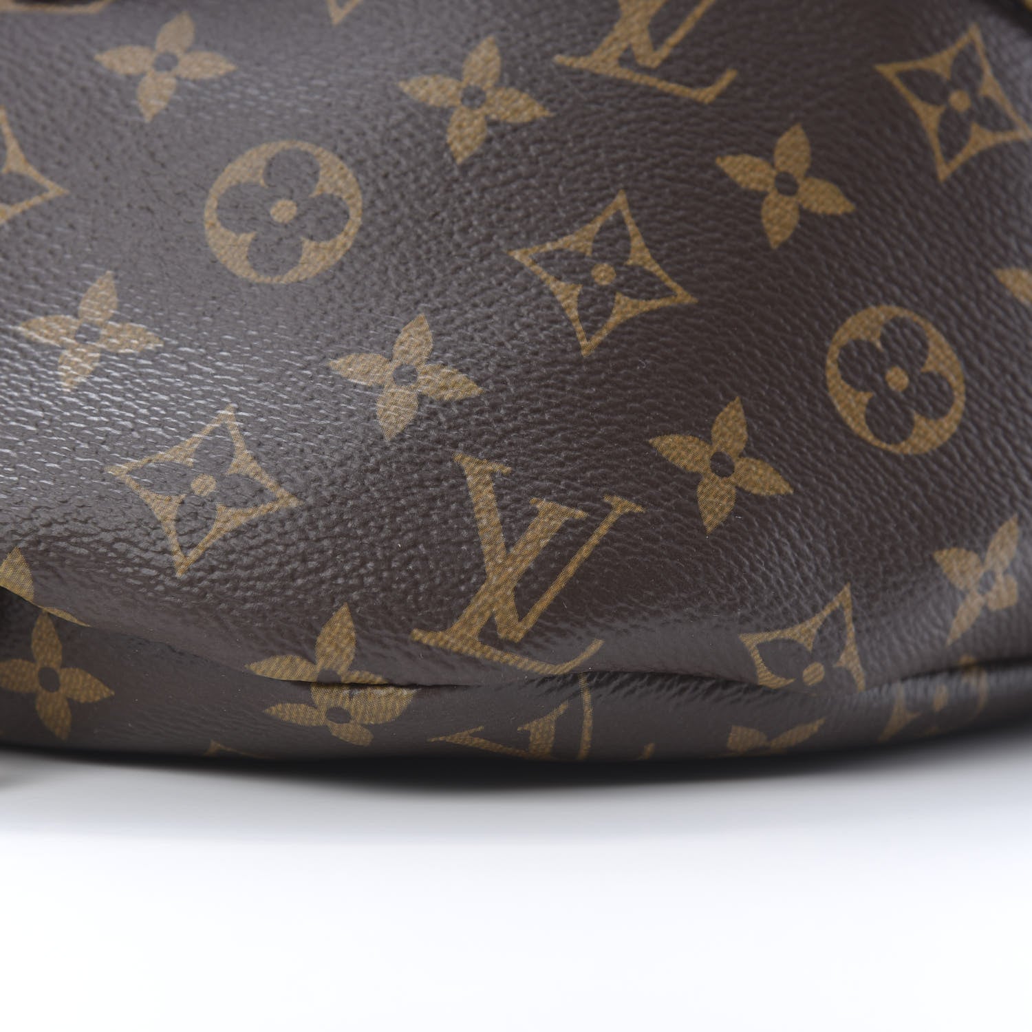 Louis Vuitton Monogram Bumbag 10 of 10