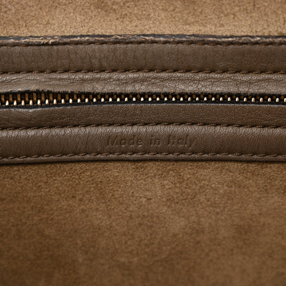 Celine Grained Calfskin Medium Phantom Luggage Taupe 6 of 30