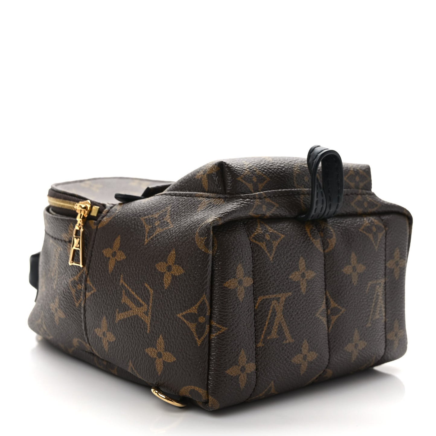 Monogram Palm Springs Backpack Mini